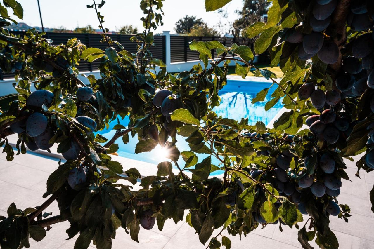 Villa Margita سبليت المظهر الخارجي الصورة